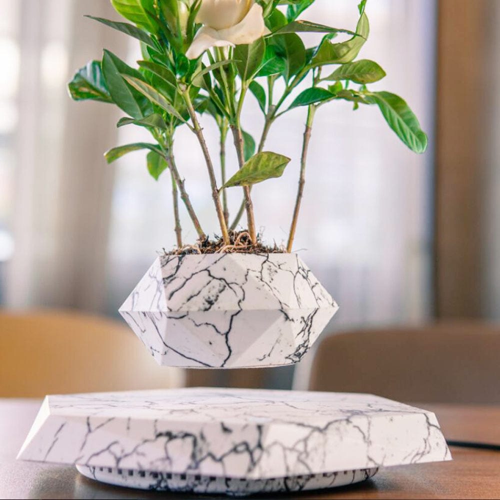 Floating Magnetic Levitating Flower Pot – Bonsai Air Planter