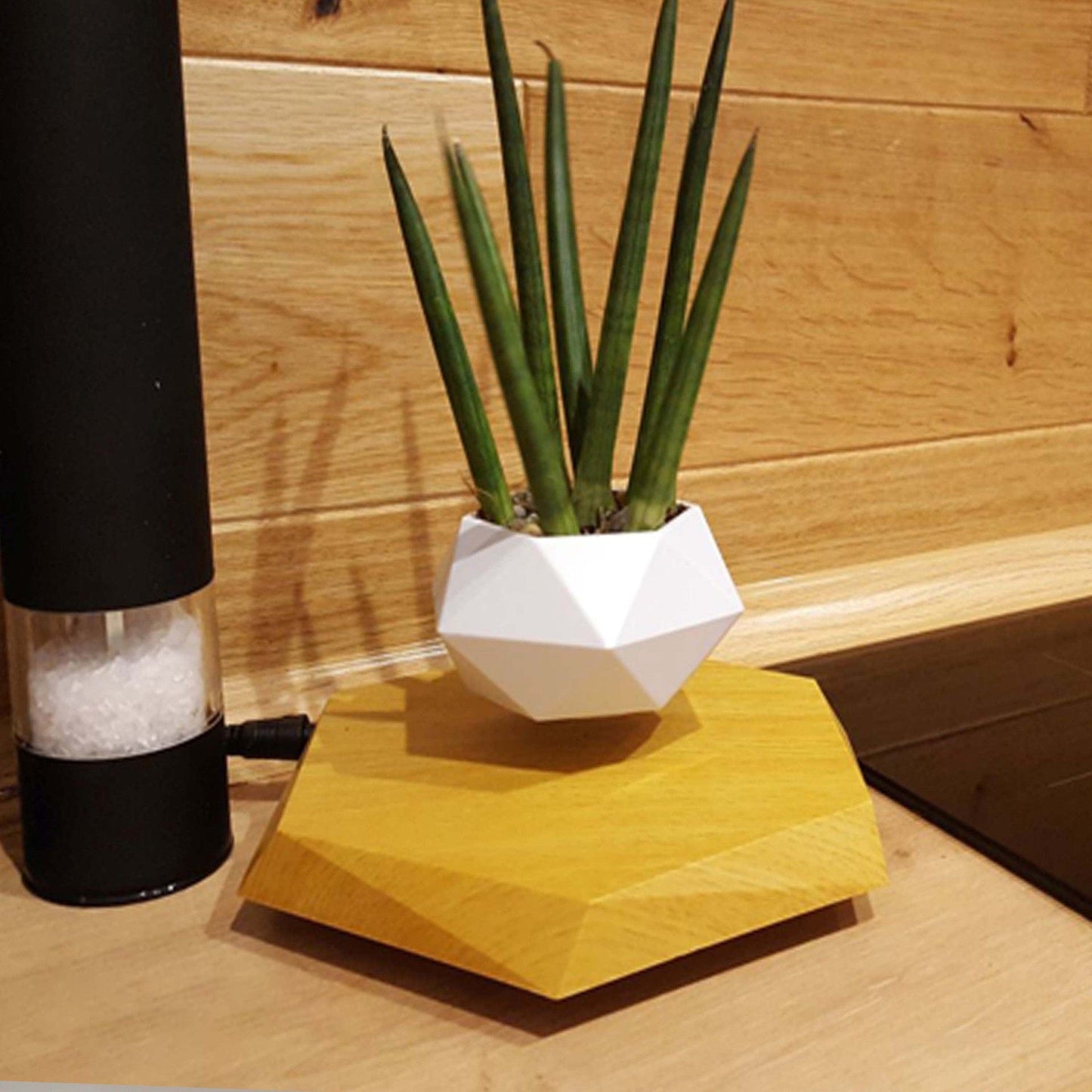 Floating Magnetic Levitating Flower Pot – Bonsai Air Planter