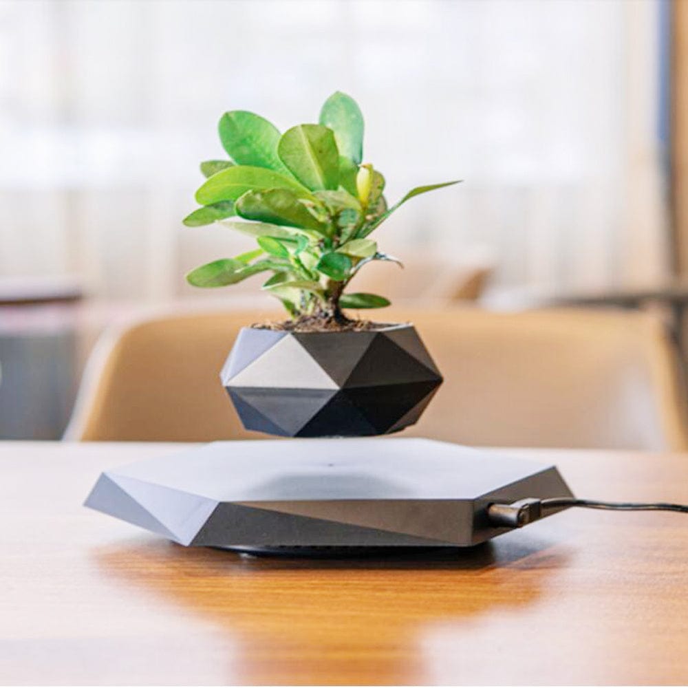 Floating Magnetic Levitating Flower Pot – Bonsai Air Planter