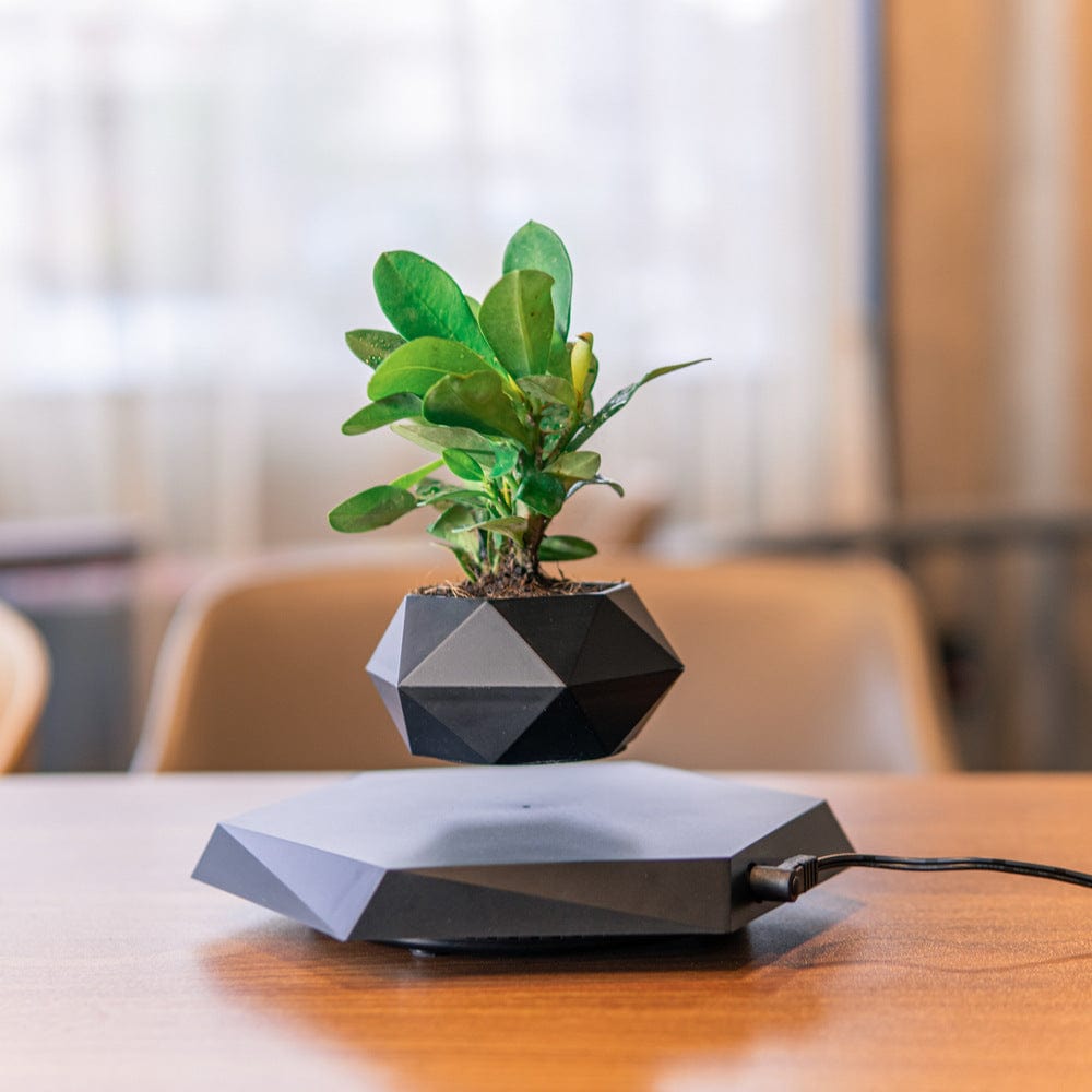 Floating Magnetic Levitating Flower Pot – Bonsai Air Planter