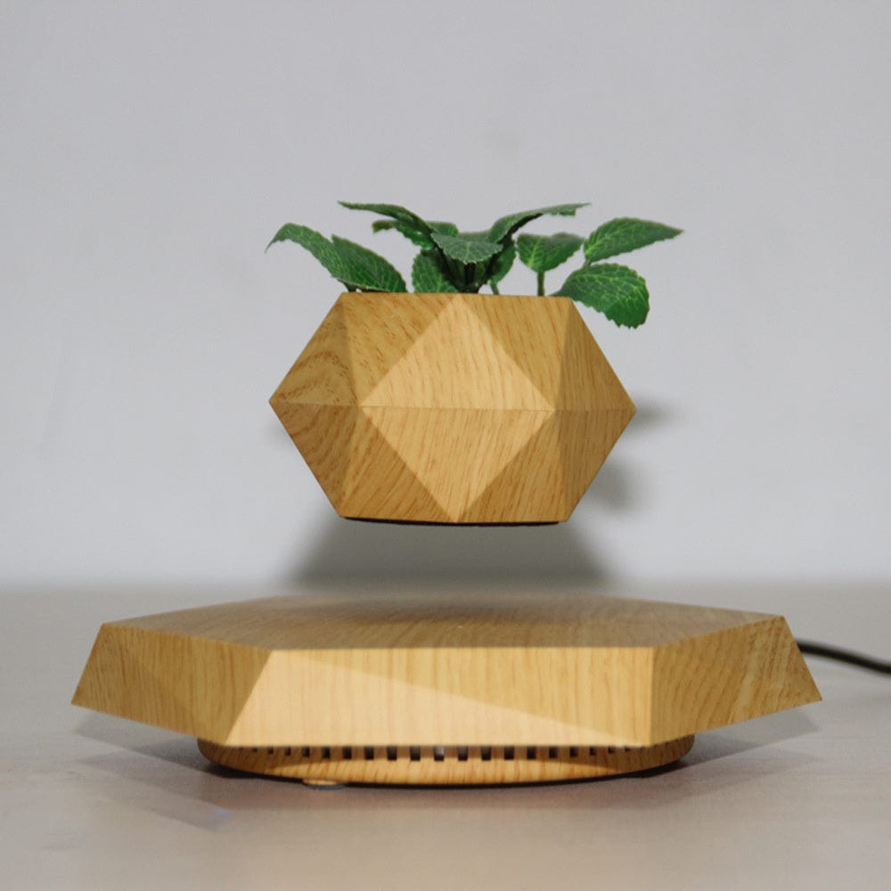 Floating Magnetic Levitating Flower Pot – Bonsai Air Planter